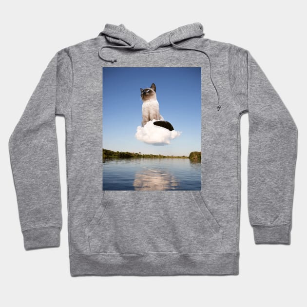 Cloud Ride Hoodie by mrmattmccarthy